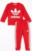 Adidas Babyset met sweater en joggingbroek 2 delig online kopen