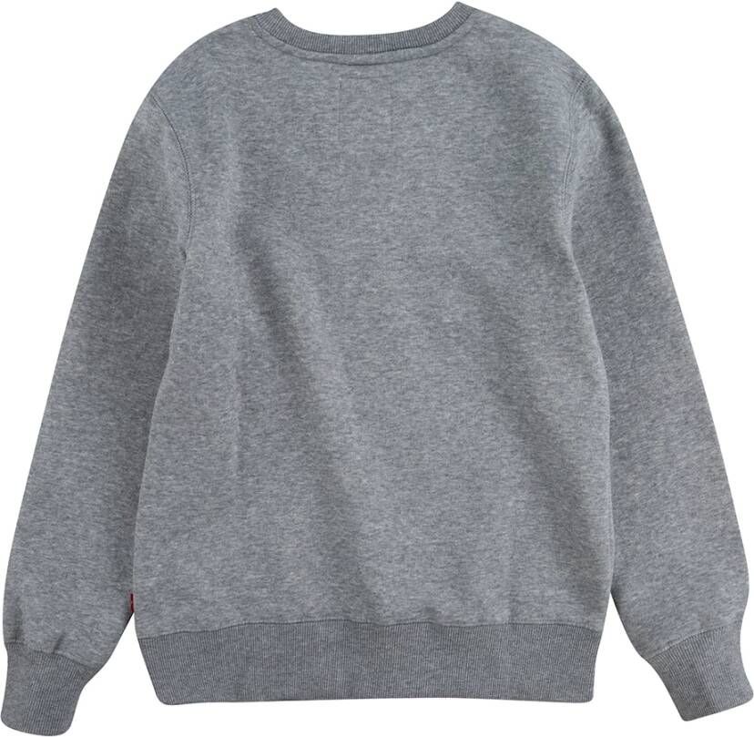 Levis ! Jongens Sweater Maat 110 Grijs Katoen/polyester
