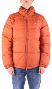 Dickies Harembroek DK0A4XP2