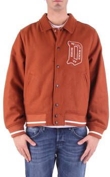 Dickies Harembroek DK0A4XZ1