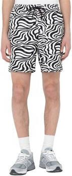 Dickies Harembroek DK0A4Y7YF311