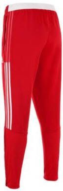 Adidas Ajax 2021/22 Trainingsbroek Heren Team Collegiate Red Heren