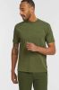 Levi's regular fit T shirt mossy green garment dye online kopen